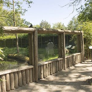 Dikdik enclosure (May 23th, 2015)