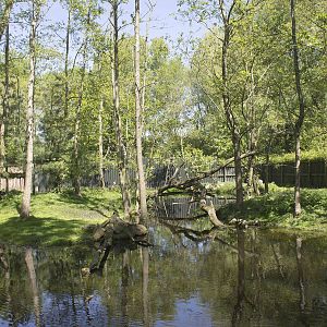 Dikdik and red panda enclosure (May 23th, 2015)