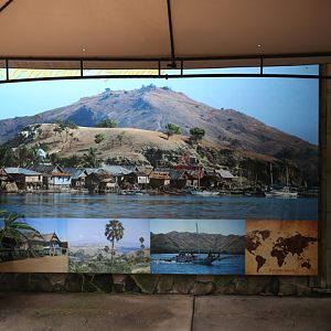 Komodo Island graphic