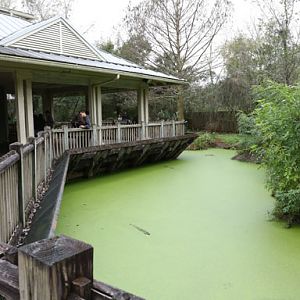 Wild Florida exhibit