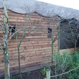 New heated housing for birds in walk through aviary