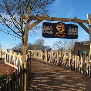 View of Gibbon Forest complex