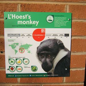 Yet more new style signage