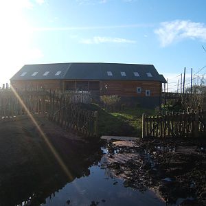 View of Gibbon Forest complex