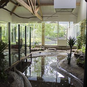 Giant otter indoor exhibit