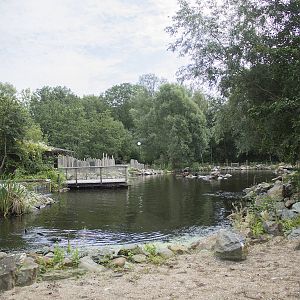 South American fur seal enclosure