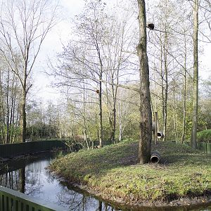 Red panda and small-clawed otter enclosure