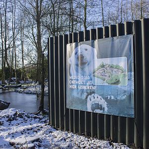 Polar bear expansion