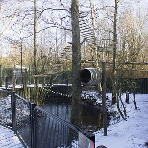 Binturong and small-clawed otter exhibit