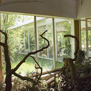 Geoffroy's marmoset walk-through (May 23th, 2015)