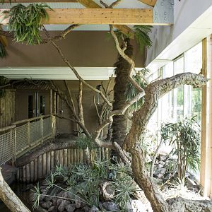 Geoffroy's marmoset walk-through (May 23th, 2015)