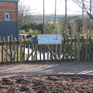 View of Gibbon Forest complex