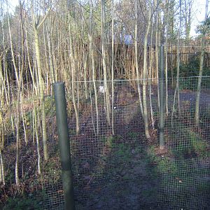 New fencing and wires over the crane enclosure