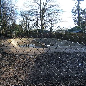 New pool in the South American Tapir enclosure