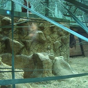 View inside Orang House