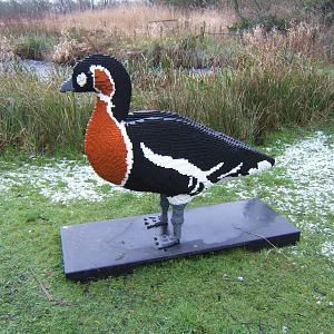 Lego Red-breasted Goose