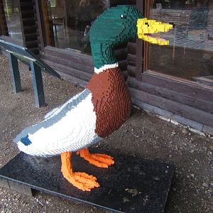 Lego Mallard