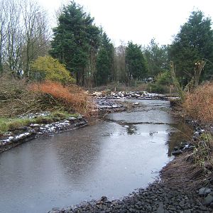 View of work on new Northern Swamps and forest exhibit