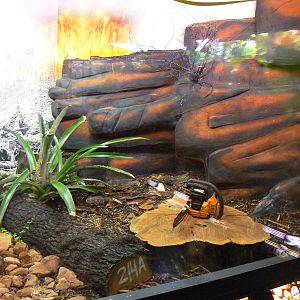 Empty Exhibit - 17 January 2016