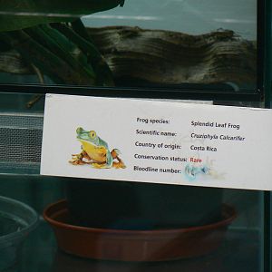 Off-show sign - 17 January 2016