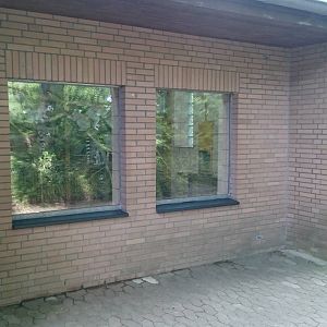 Indoor enclosure Ring-tailed lemur