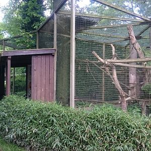 Lemur enclosure