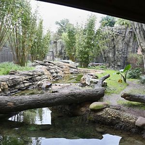 Sumatran tiger exhibit