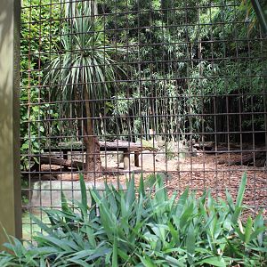 1st Tiger enclosure