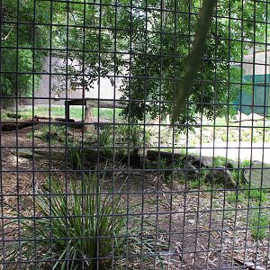 2nd Tiger enclosure