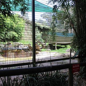 3rd Tiger enclosure