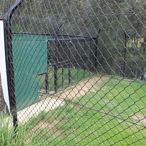 Cheetah enclosure