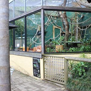 New Squirrel Monkey enclosure