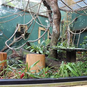 New Squirrel Monkey enclosure