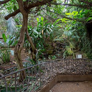 Tropical House (interior) : Cotswold WP : 16 Jan 2016