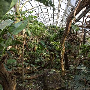 Tropical House (interior) : Cotswold WP : 16 Jan 2016