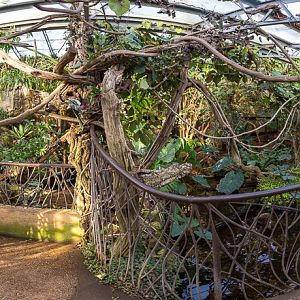 Tropical House (interior) : Cotswold WP : 16 Jan 2016