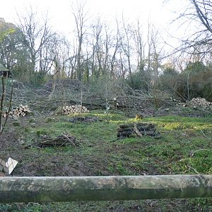 Logging, January 2016