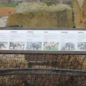Prague's elephant ID's
