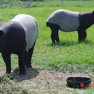 Peace River Refuge- Arcadia- 2004