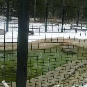 North American River Otter Exhibit