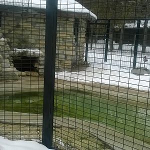 North American River Otter Exhibit