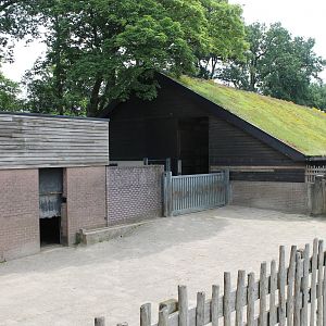 Africa - Savannah stables and seperation