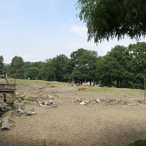 Africa - African savannah 1