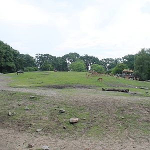 Africa - African savannah 2