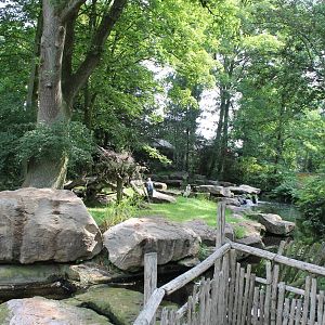 Africa - Marabou stork enclosure