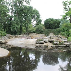 Africa - Hippo enclosure