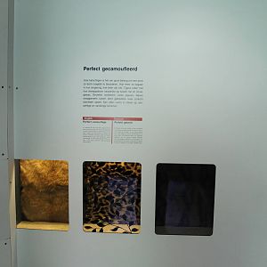 Africa - Education in the panther tunnel