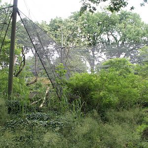 Africa - Panther enclosure 2