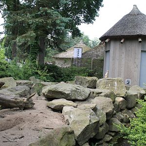 Africa - Meerkat enclosure
