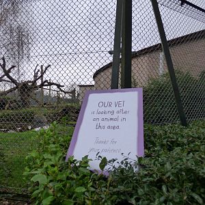 Sign outside Sofia's outdoor enclosure